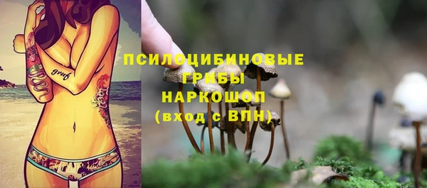 мескалин Бородино