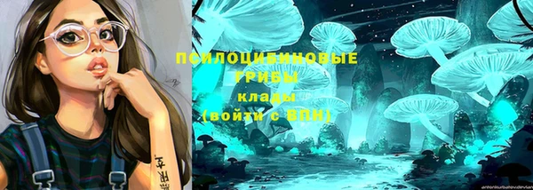 ECSTASY Бронницы