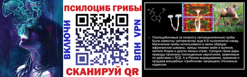 KRAKEN вход  Павловск  Псилоцибиновые грибы Cubensis 