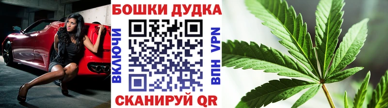 наркота  Павловск  Бошки марихуана планчик 